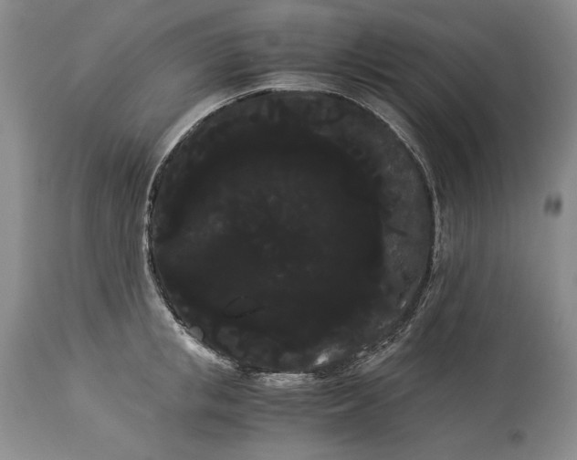 X0000114190853200910231319