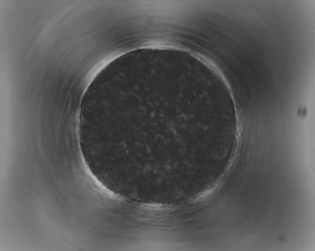 X0000114190855200910231319