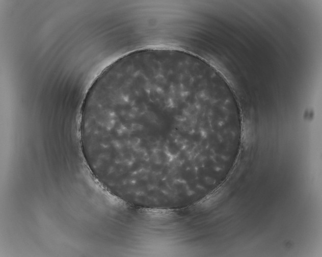 X0000114190856200910231319