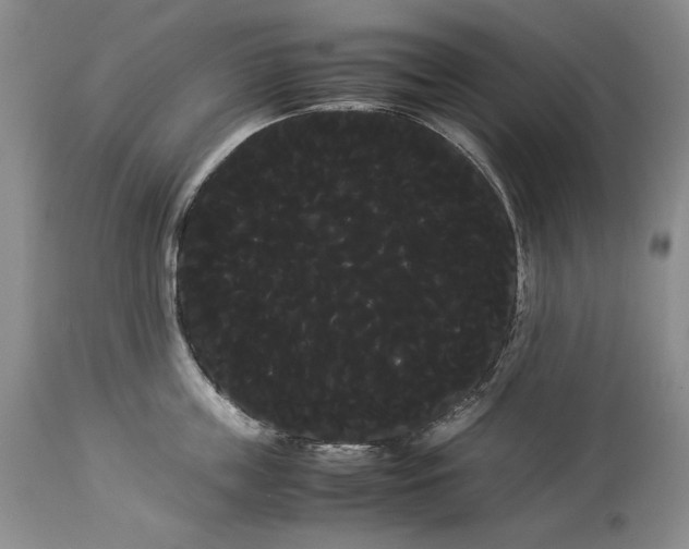 X0000114190859200910231319