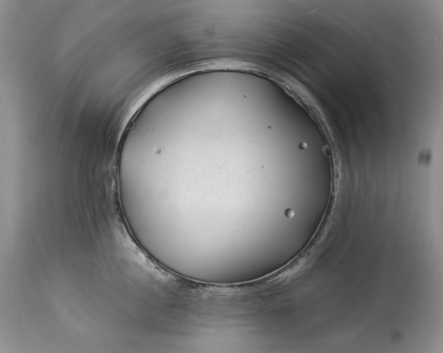 X0000114190860200910231319