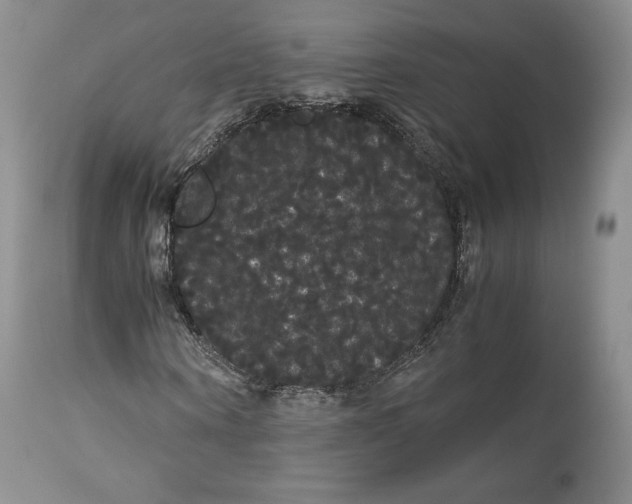 X0000114190866200910231319