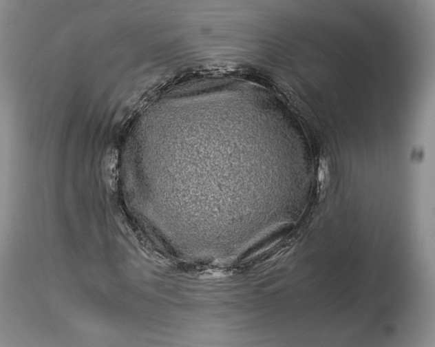 X0000114190867200910231319