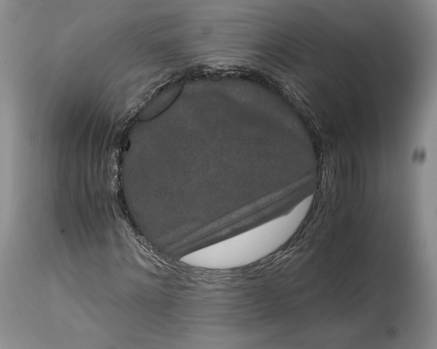 X0000114190868200910231319