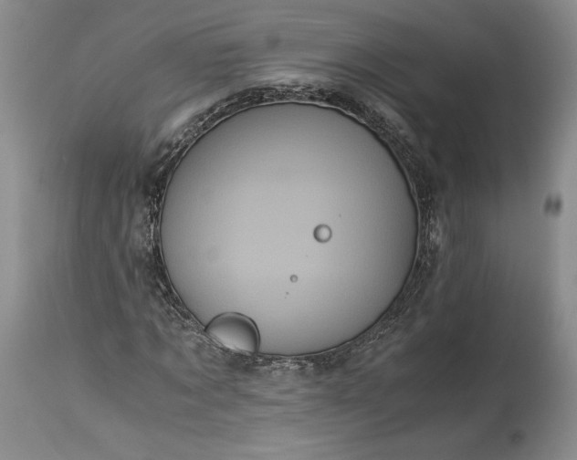 X0000114190869200910231319