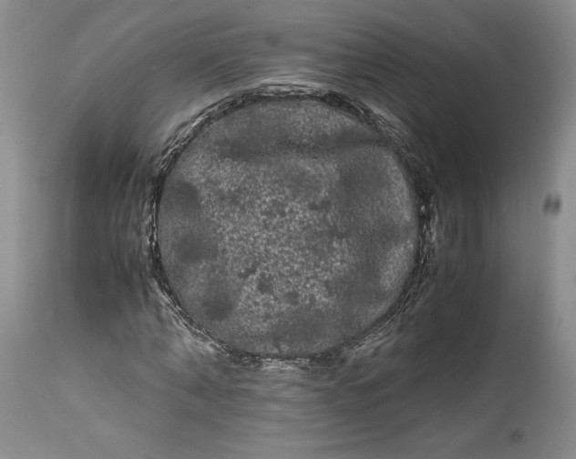 X0000114190870200910231319