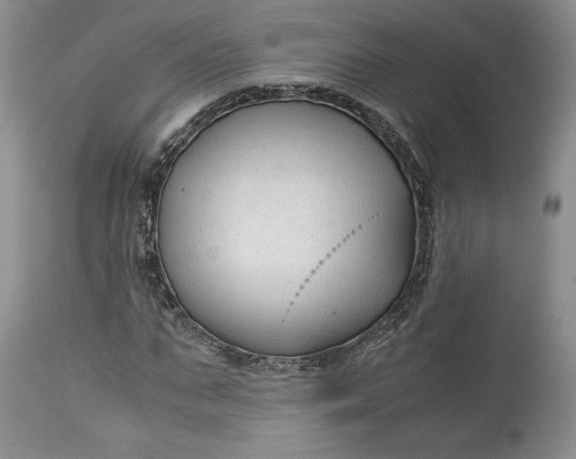 X0000114190871200910231319