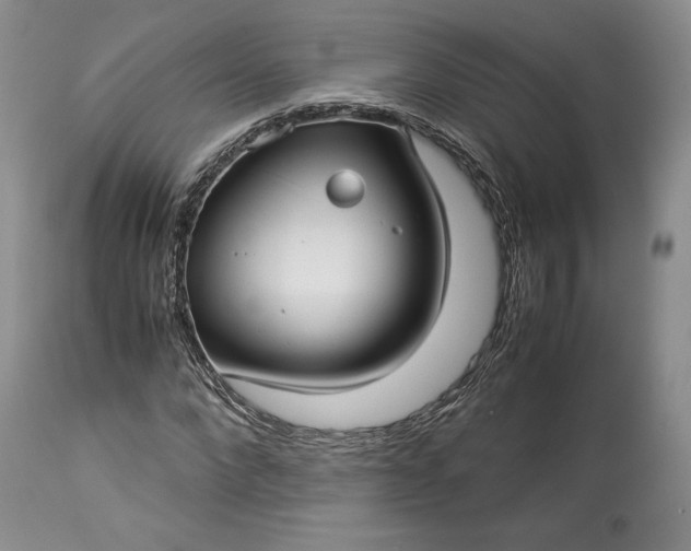 X0000114190872200910231319
