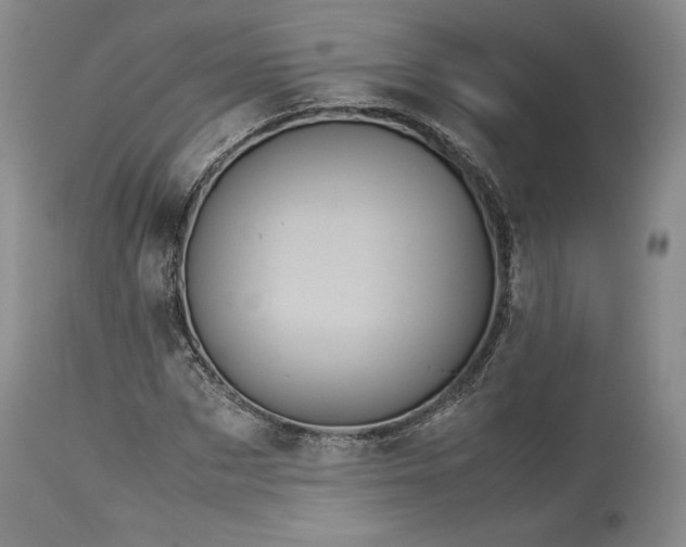 X0000114190873200910231319