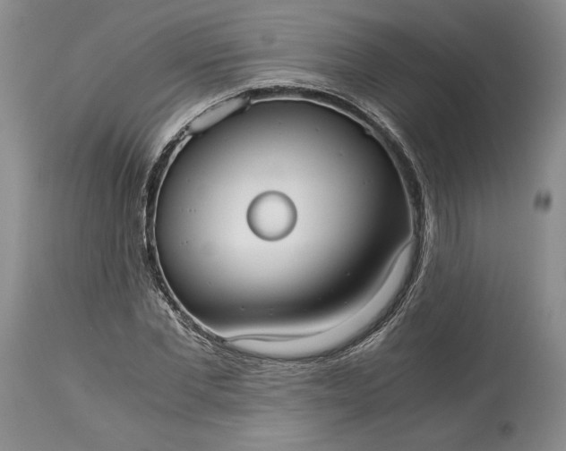 X0000114190877200910231318