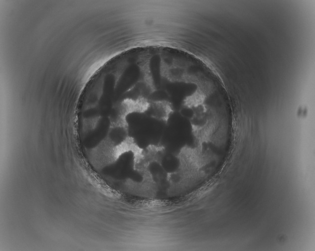 X0000114190879200910231318