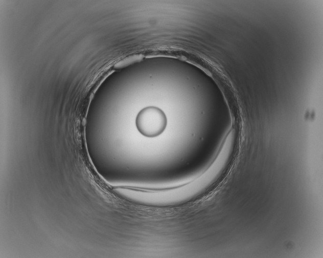 X0000114190881200910231318