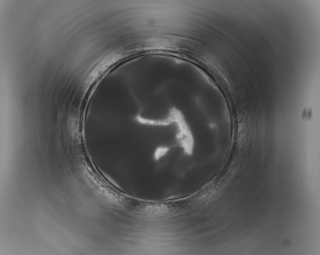 X0000114190882200910231318