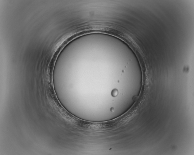 X0000114190883200910231318