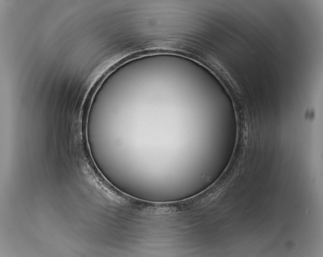 X0000114190884200910231318