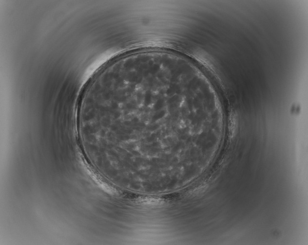 X0000114190886200910231318