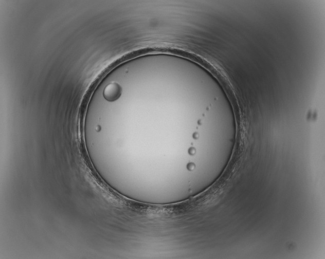X0000114190887200910231318