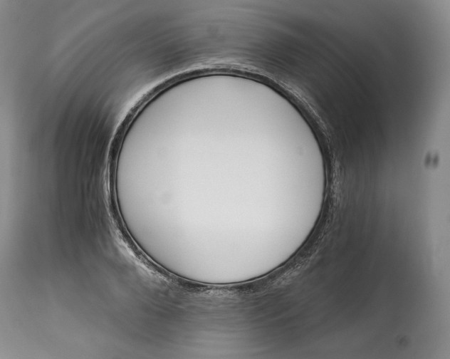 X0000114190888200910231318