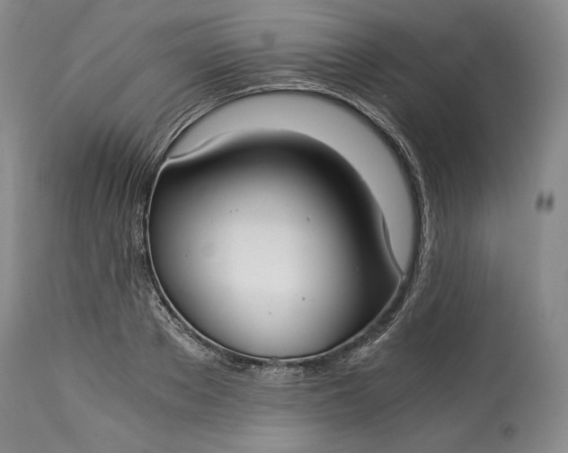 X0000114190889200910231318