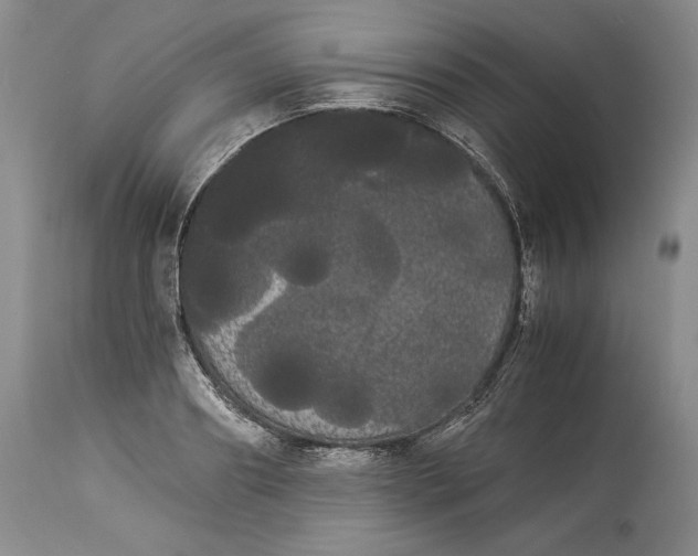 X0000114190890200910231318