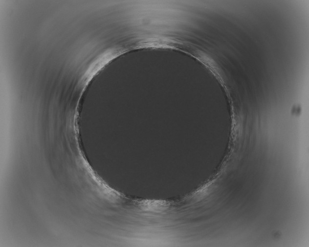 X0000114190893200910231318