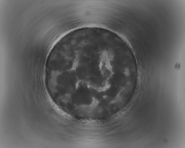 X0000114190895200910231318