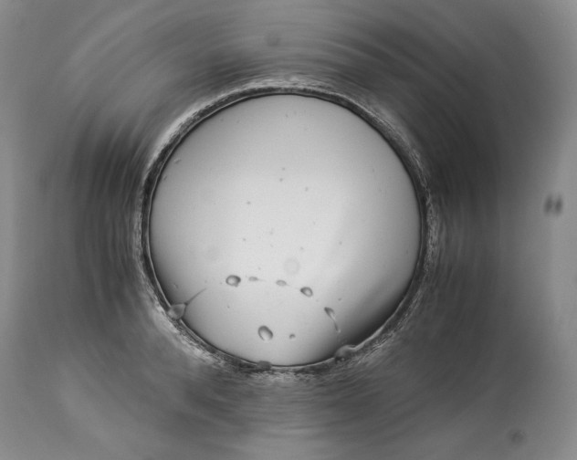 X0000114190896200910231318