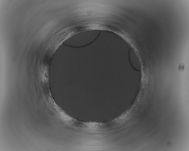 X0000114190897200910231318