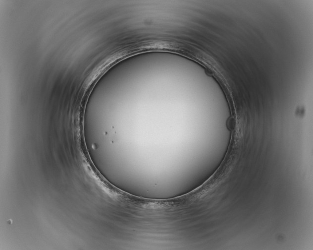 X0000114190898200910231318
