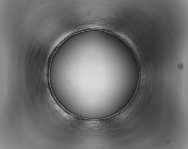 X0000114190902200910231318