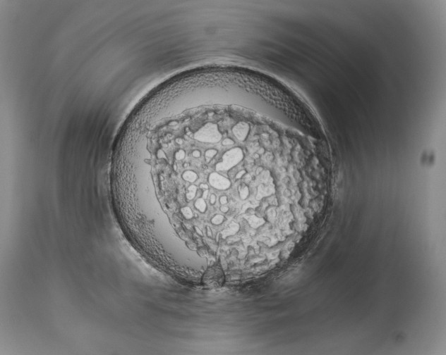 X0000114190903200910231318