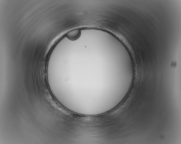 X0000114190904200910231318