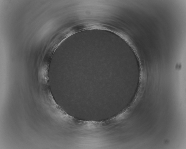 X0000114190905200910231318
