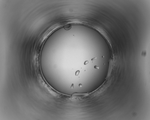 X0000114190906200910231318