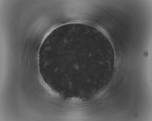X0000114190907200910231318