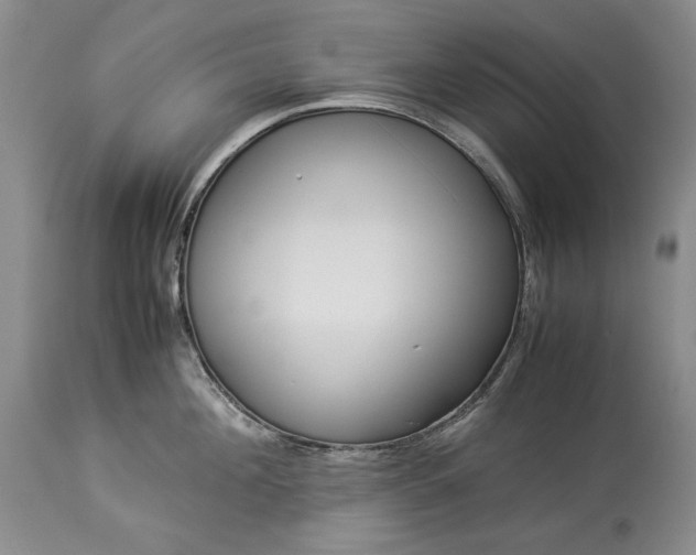 X0000114190908200910231318