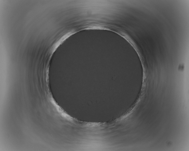 X0000114190909200910231318