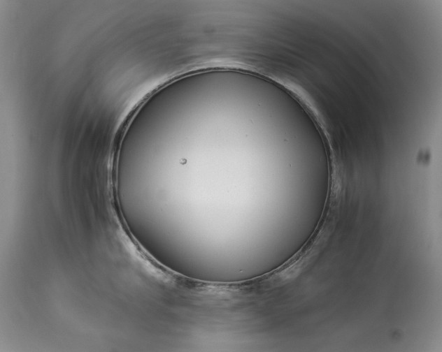 X0000114190910200910231318