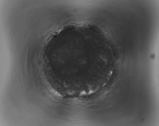 X0000114190913200910231317