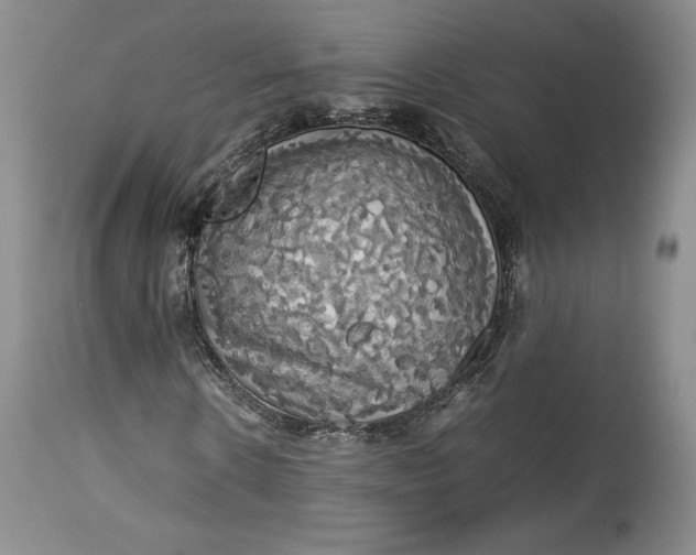 X0000114190914200910231317