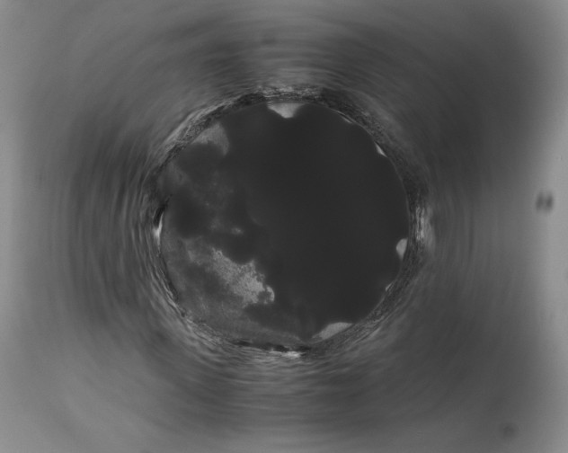 X0000114190915200910231317