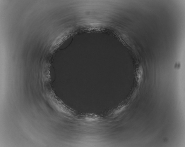 X0000114190916200910231317
