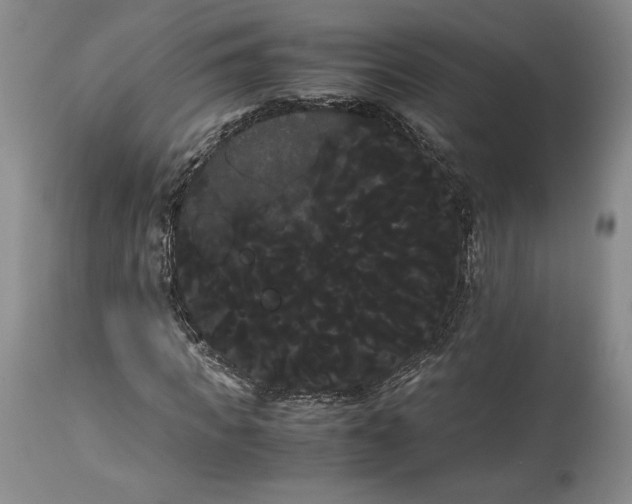 X0000114190917200910231317