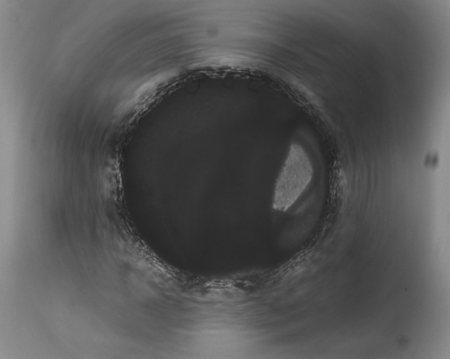 X0000114190918200910231317