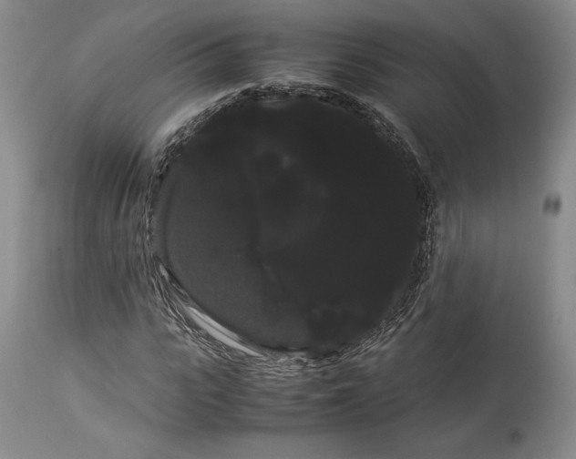 X0000114190919200910231317