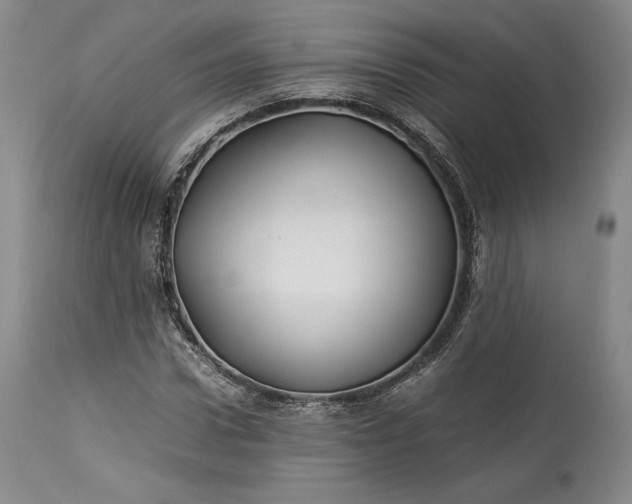 X0000114190922200910231317