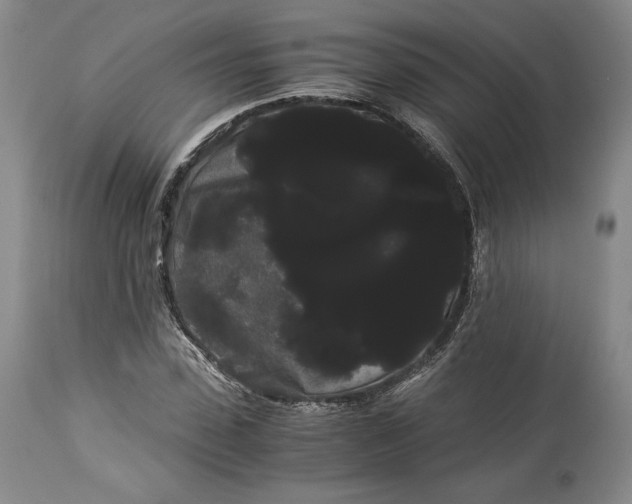 X0000114190923200910231317