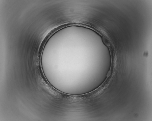 X0000114190924200910231317