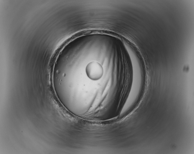X0000114190925200910231317