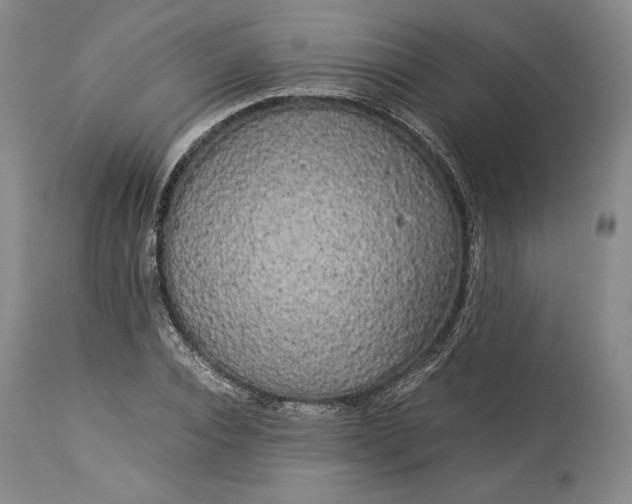 X0000114190928200910231318